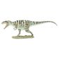 Safari Ltd Giganotosaurus Ws Prehistoric World