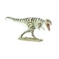 Safari Ltd Giganotosaurus Ws Prehistoric World