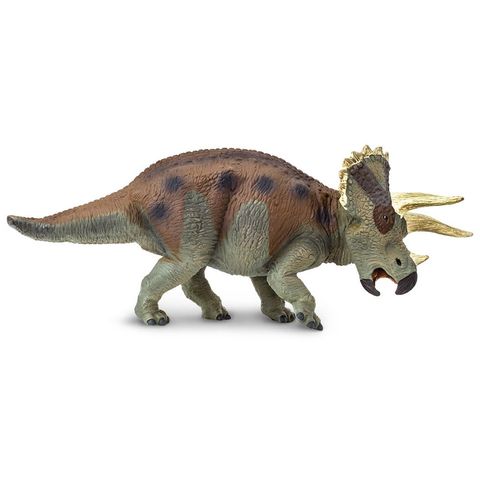 Safari Ltd Triceratops