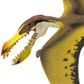 Safari Ltd Pterosaur