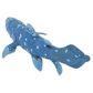 Safari Ltd Coelacanth Ws Prehistoric World