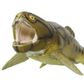 Safari Ltd Dunkleosteus