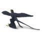 Safari Ltd Microraptor Ws Prehistoric World