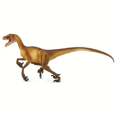Safari Ltd Velociraptor Ws PrehistoricWorld