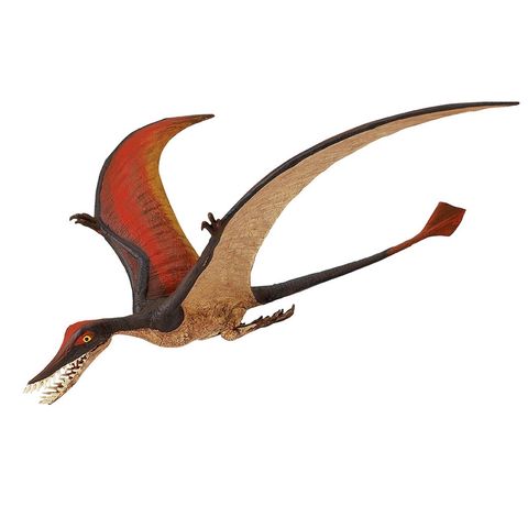 Safari Ltd Rhamphorhynchus