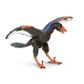 Safari Ltd Archaeopteryx