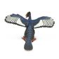 Safari Ltd Archaeopteryx