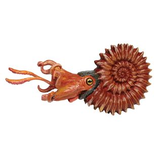 Safari Ltd Ammonite