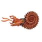 Safari Ltd Ammonite