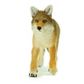 Safari Ltd Coyote Wildlife Wonders