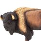 Safari Ltd Bison