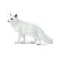 Safari Ltd Arctic Fox Wildlife Wonders