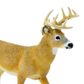 Safari Ltd Whitetail Buck Wildlife Wonders