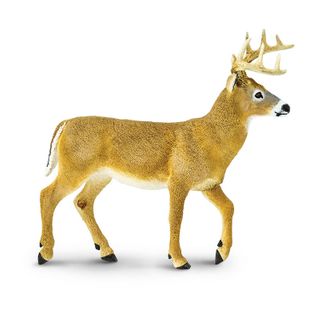 Safari Ltd Whitetail Buck Wildlife Wonders