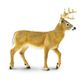 Safari Ltd Whitetail Buck Wildlife Wonders