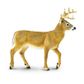 Safari Ltd Whitetail Buck