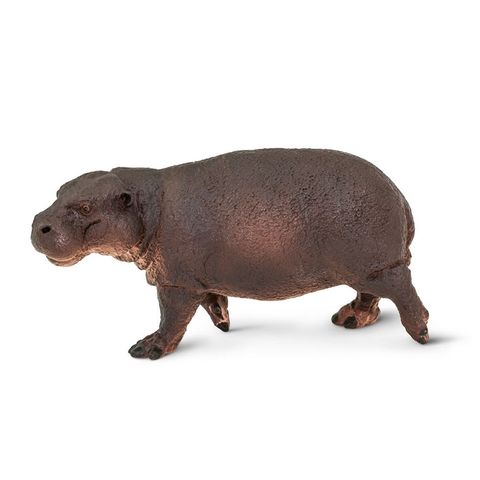 Safari Ltd Pygmy Hippo Wild Safari Wildlife