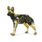 Safari Ltd African Wild Dog Wild SafariWildlife