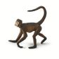 Safari Ltd Spider Monkey