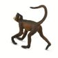 Safari Ltd Spider Monkey