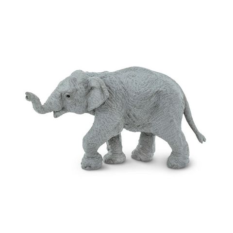 Safari Ltd Asian Elephant Baby Wild Safari Wildli*