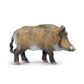 Safari Ltd Boar Wild Safari Wildlife