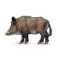 Safari Ltd Boar