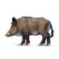 Safari Ltd Boar Wild Safari Wildlife