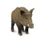 Safari Ltd Boar Wild Safari Wildlife