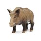 Safari Ltd Boar Wild Safari Wildlife