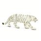 Safari Ltd White Bengal Tiger Wild Safari Wildlif