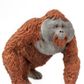 Safari Ltd Male Orangutan