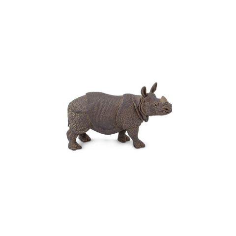 safari ltd, animal figurine, science to, dinosaur, animals, educational toys,  African animals, ocean animals, dinosaur toy, figurines, animals, toys that  teach, shark, Australian animals, american animals, native animals, toy