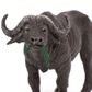 Safari Ltd Cape Buffalo