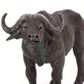 Safari Ltd Cape Buffalo