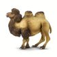 Safari Ltd Bactrian Camel