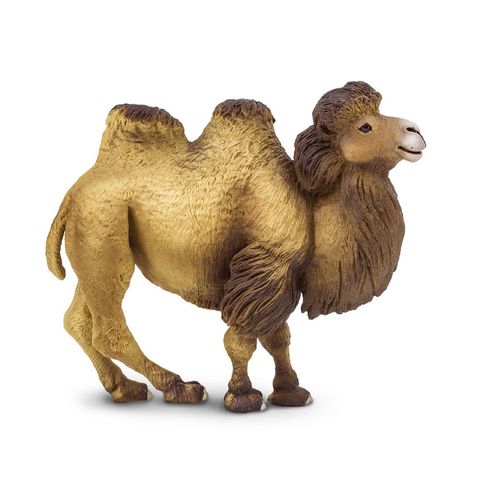 Safari Ltd Bactrian Camel Wild Safari Wildlife *