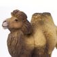 Safari Ltd Bactrian Camel Wild Safari Wildlife *