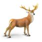 Safari Ltd Red Deer Stag