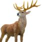 Safari Ltd Red Deer Stag Wild Safari Wildlife