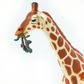 Safari Ltd Reticulated Giraffe Wild Safari Wildlif