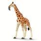 Safari Ltd Reticulated Giraffe Wild Safari Wildlif
