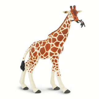 Safari Ltd Reticulated Giraffe Wild Safari Wildlif