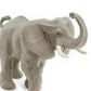 Safari Ltd African Elephant Wild SafariWildlife