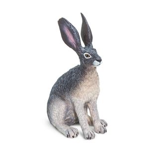 Safari Ltd American Desert Hare