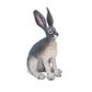 Safari Ltd American Desert Hare N.American Wildlife