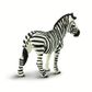 Safari Ltd Zebra