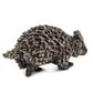 Safari Ltd Porcupine