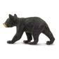 Safari Ltd Black Bear Cub North American Wildlife