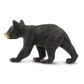 Safari Ltd Black Bear Cub